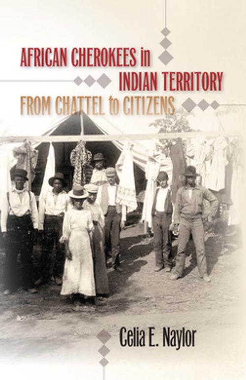 Cover of the book African Cherokees in Indian Territory by Celia E. Naylor, The University of North Carolina Press