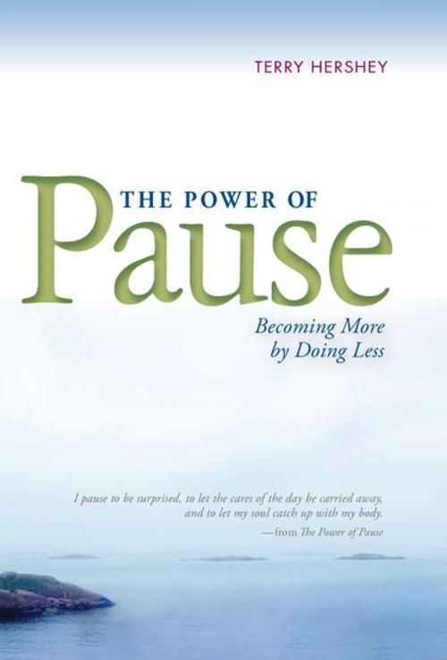 Cover of the book The Power of Pause by Terry Hershey, Loyola Press