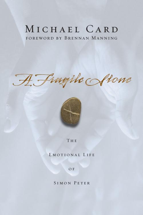 Cover of the book A Fragile Stone by Michael Card, IVP Books