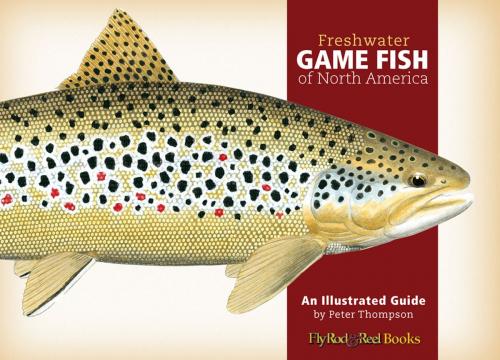 Cover of the book Freshwater Game Fish of North America by Peter G. Thompson, Down East Books