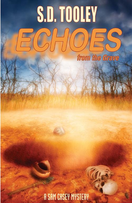 Cover of the book Echoes from the Grave by S.D. Tooley, Full Moon Publishing LLC
