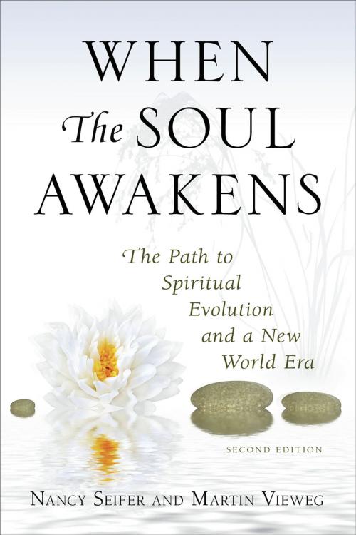 Cover of the book When the Soul Awakens by Nancy Seifer, Martin Vieweg, Gathering Wave Press