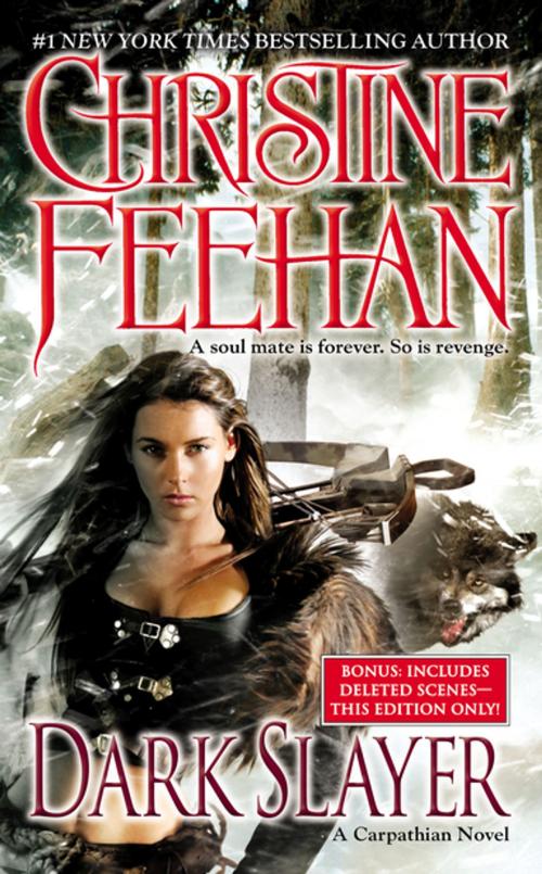 Cover of the book Dark Slayer by Christine Feehan, Penguin Publishing Group