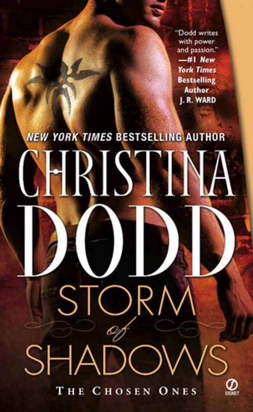 Cover of the book Storm of Shadows by Christina Dodd, Penguin Publishing Group