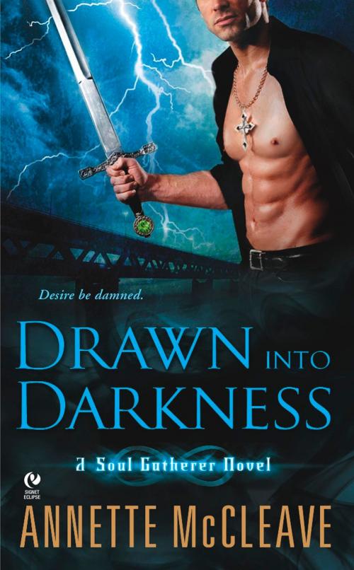 Cover of the book Drawn Into Darkness by Annette McCleave, Penguin Publishing Group