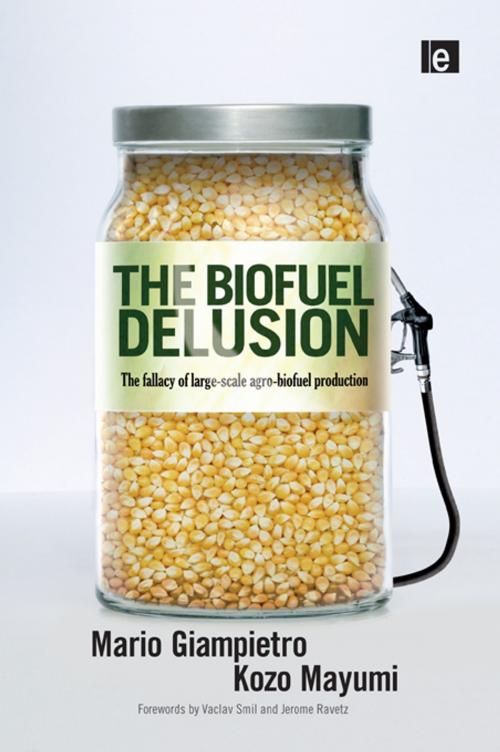Cover of the book The Biofuel Delusion by Mario Giampietro, Kozo Mayumi, Taylor and Francis