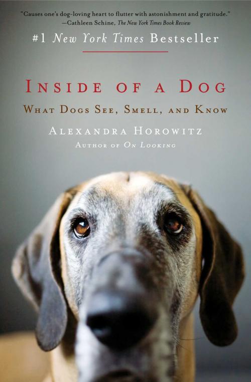 Cover of the book Inside of a Dog by Alexandra Horowitz, Scribner