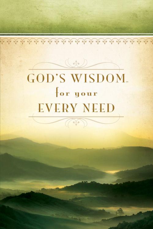 Cover of the book God's Wisdom For Your Every Need by Jack Countryman, Thomas Nelson