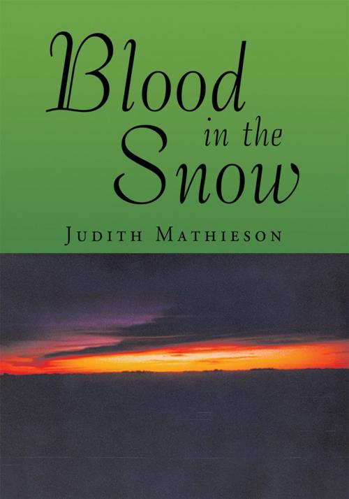 Cover of the book Blood in the Snow by Judith Mathieson, Trafford Publishing
