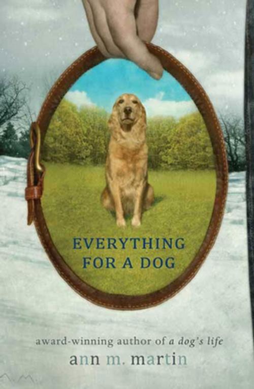 Cover of the book Everything for a Dog by Ann M. Martin, Feiwel & Friends