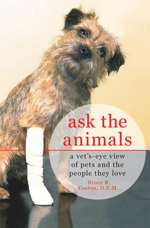 Cover of the book Ask the Animals by Bruce R. Coston, D.V.M., St. Martin's Press