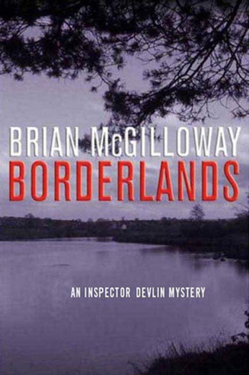 Cover of the book Borderlands by Brian McGilloway, St. Martin's Press