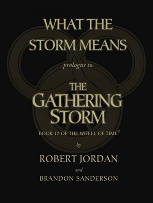 Cover of the book What the Storm Means: Prologue to the Gathering Storm by Brandon Sanderson, Robert Jordan, Tom Doherty Associates