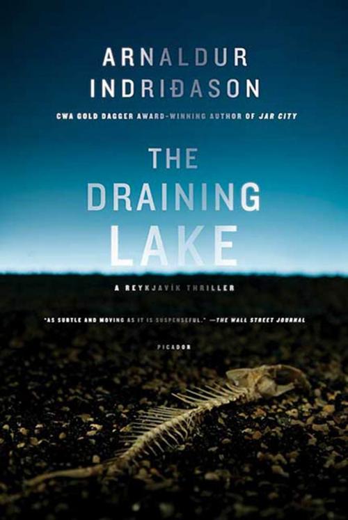 Cover of the book The Draining Lake by Arnaldur Indridason, St. Martin's Press