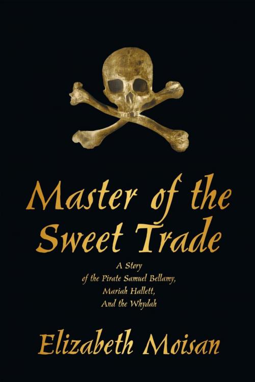 Cover of the book Master of the Sweet Trade by Elizabeth Moisan, iUniverse