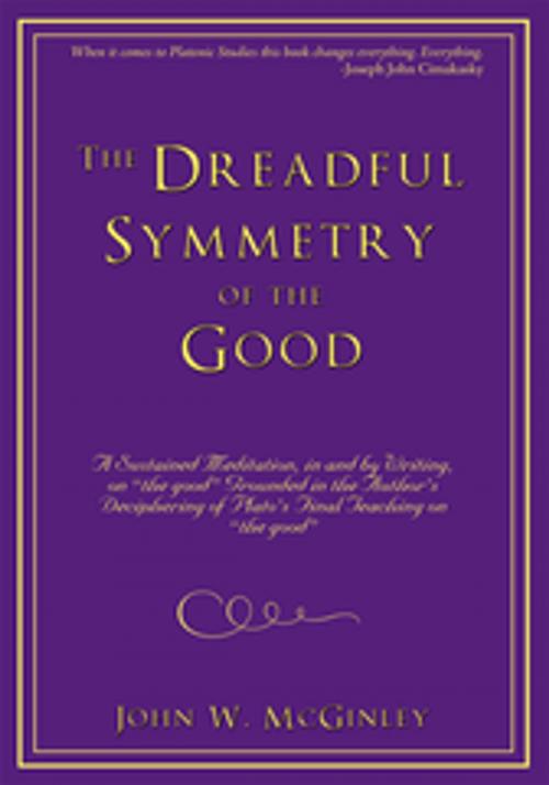 Cover of the book The Dreadful Symmetry of the Good by John W. McGinley, iUniverse