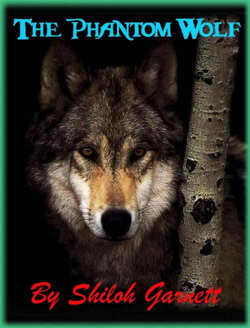 Cover of the book The Phantom Wolf by Shiloh Garnett, Strict Publishing International