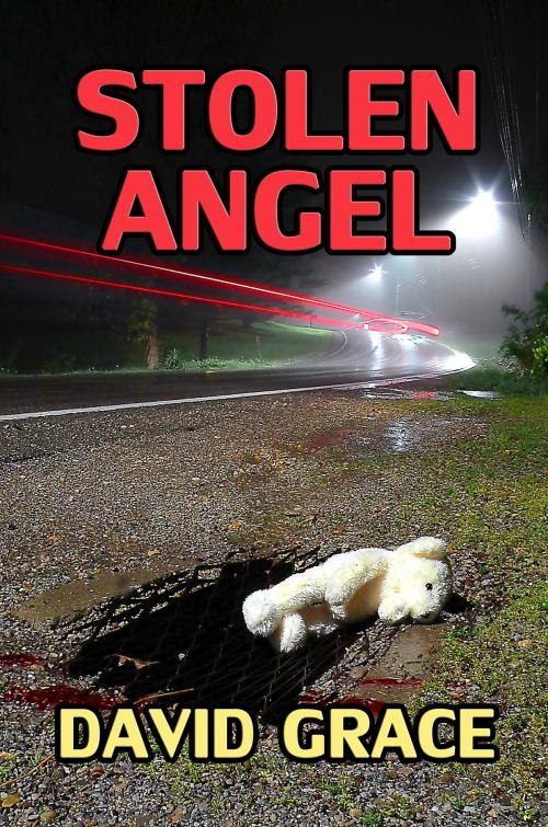 Cover of the book Stolen Angel by David Grace, David Grace