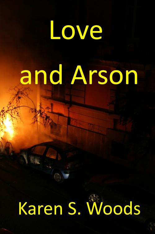 Cover of the book Love and Arson by Karen Woods, Sleeping Beagle Books