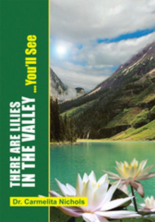 Cover of the book There Are Lillies in the Valley...You'll See by Dr. Carmelita Nichols, Xlibris US