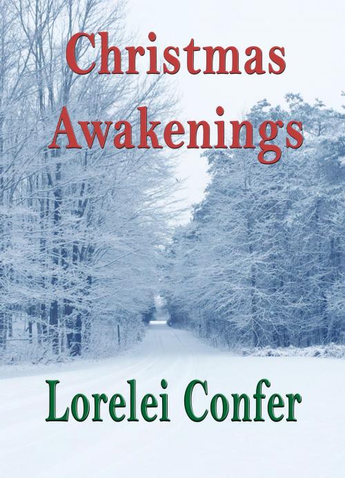 Cover of the book Christmas Awakenings by Lorelei Confer, Lorelei Confer