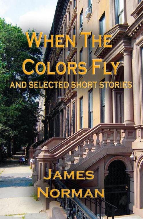 Cover of the book When the Colors Fly and Selected Short Stories by James Norman, Xlibris US