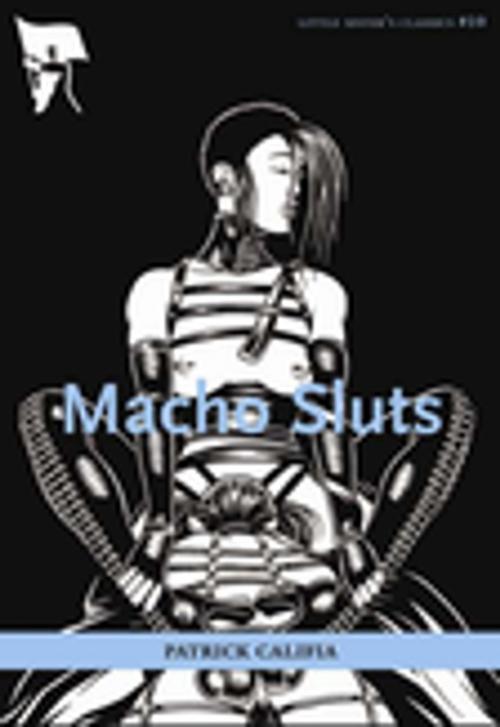 Cover of the book Macho Sluts by Patrick Califia, Arsenal Pulp Press
