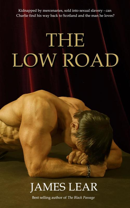 Cover of the book The Low Road by James Lear, Cleis Press
