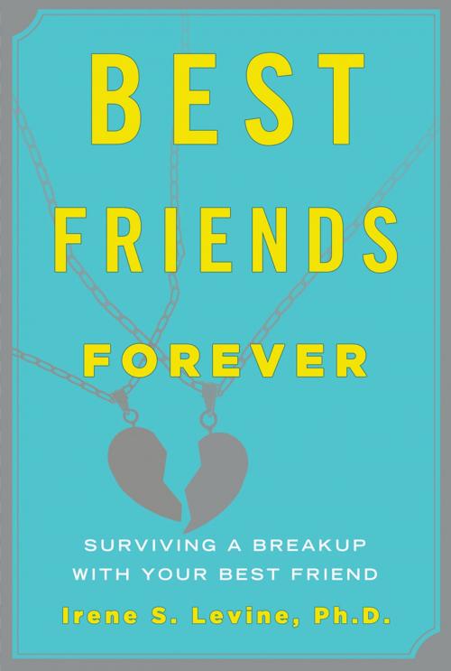 Cover of the book Best Friends Forever by Irene S. Levine, ABRAMS
