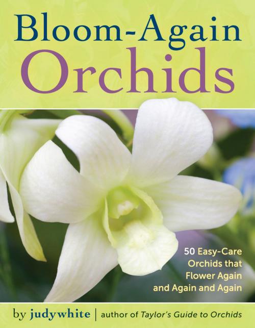 Cover of the book Bloom-Again Orchids by judywhite, Timber Press