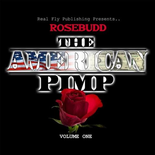 Cover of the book Rosebudd the American Pimp by John Dickson, BookBaby