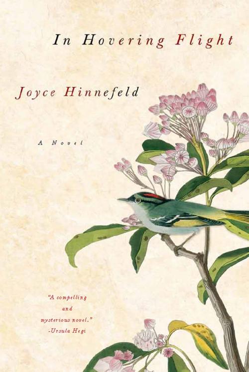 Cover of the book In Hovering Flight by Joyce Hinnefeld, Unbridled Books