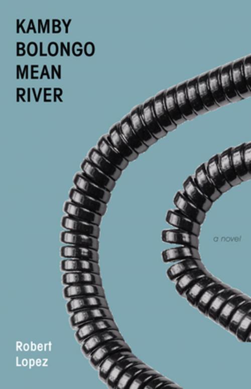 Cover of the book Kamby Bolongo Mean River by Robert Lopez, Dzanc Books