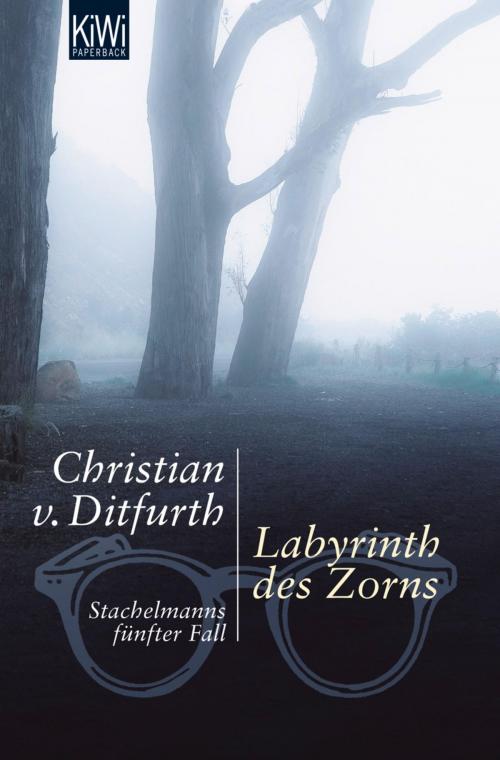 Cover of the book Labyrinth des Zorns by Christian von Ditfurth, Kiepenheuer & Witsch eBook