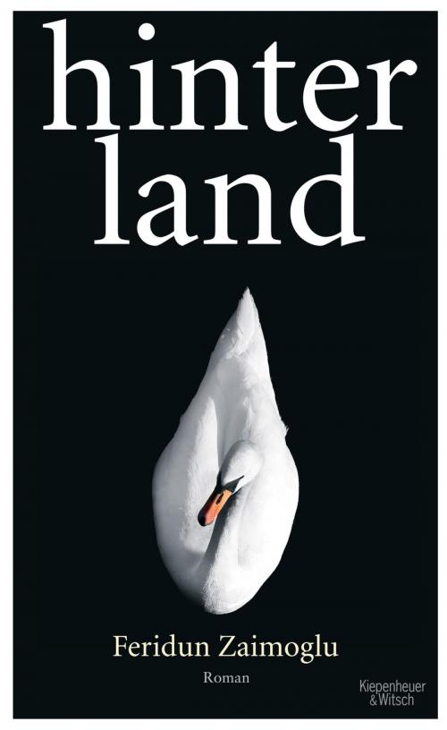 Cover of the book Hinterland by Feridun Zaimoglu, Kiepenheuer & Witsch eBook