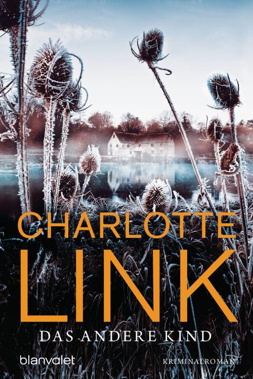 Cover of the book Das andere Kind by Charlotte Link, E-Books der Verlagsgruppe Random House GmbH