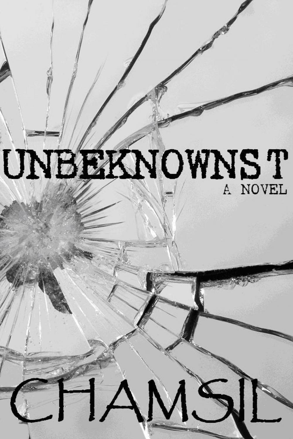 Big bigCover of Unbeknownst