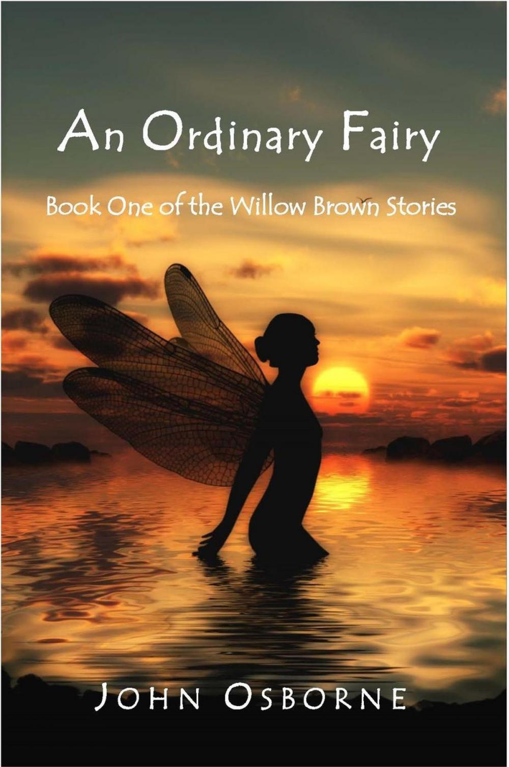 Big bigCover of An Ordinary Fairy