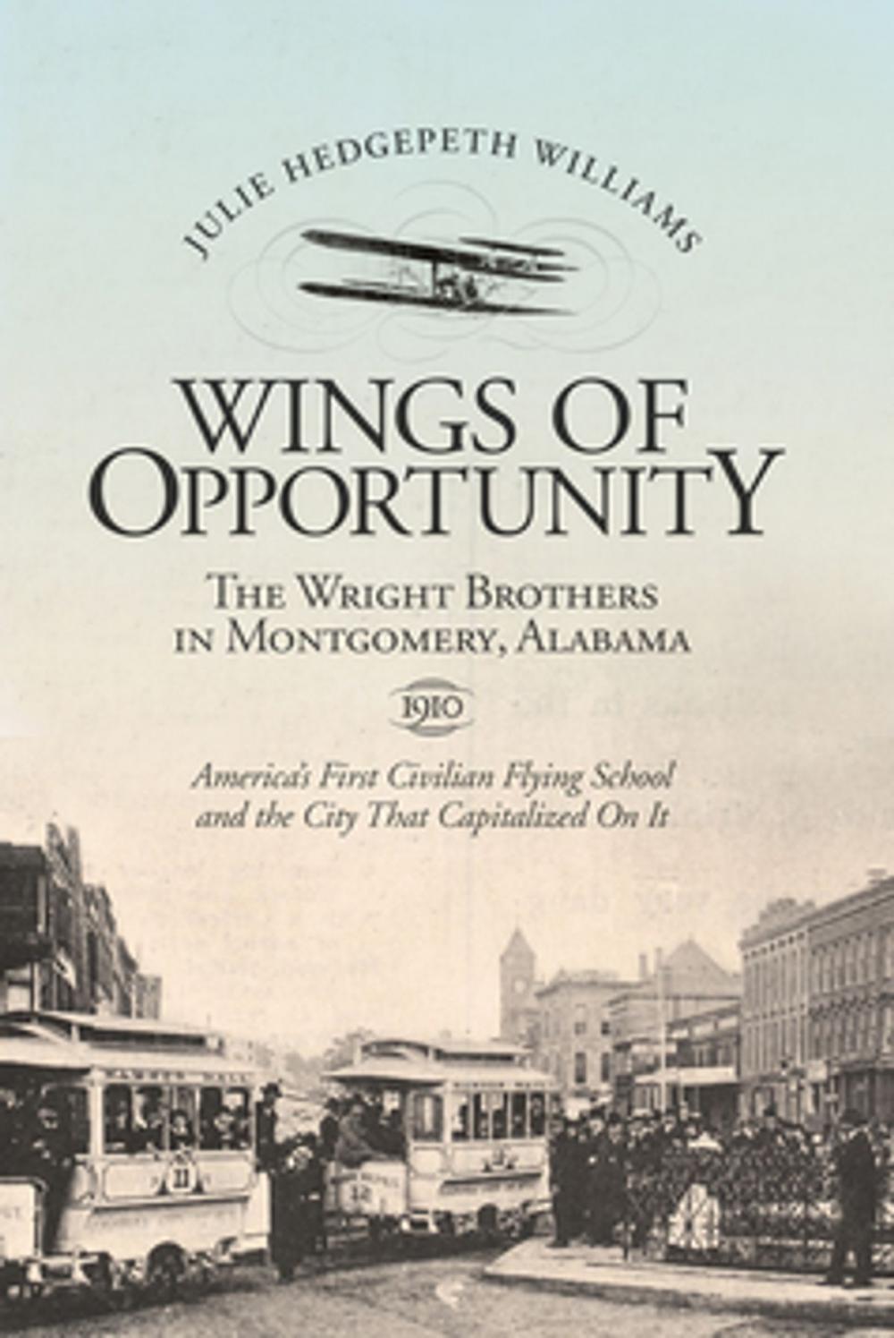 Big bigCover of Wings of Opportunity