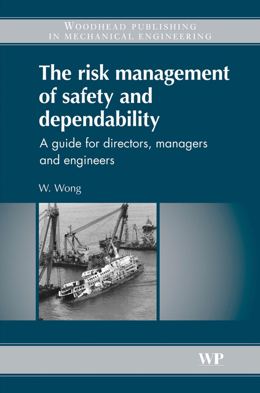 Big bigCover of The Risk Management of Safety and Dependability