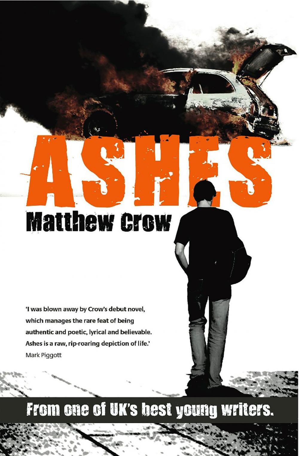 Big bigCover of Ashes