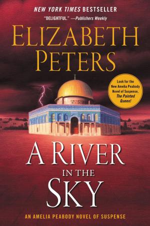 Cover of the book A River in the Sky by Gloria Allred