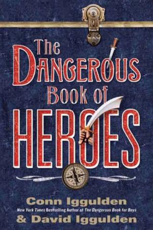 Cover of the book The Dangerous Book of Heroes by Charlie Weis, Vic Carucci