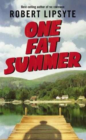 Cover of the book One Fat Summer by Elizabeth Acevedo