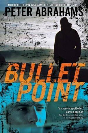 Book cover of Bullet Point