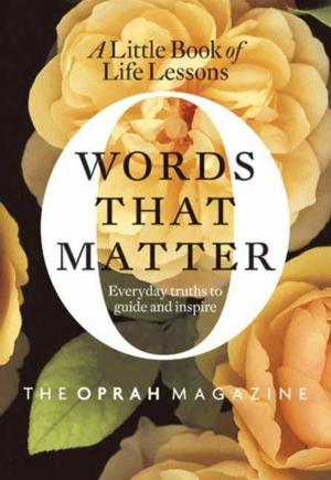 Cover of the book Words That Matter by David Feldman