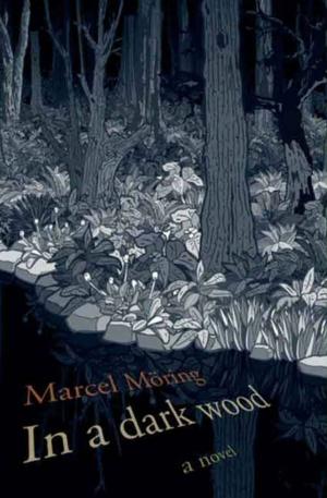 Cover of the book In a Dark Wood by Deborah Anderson