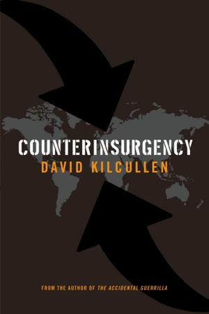 Cover of the book Counterinsurgency by David Commins
