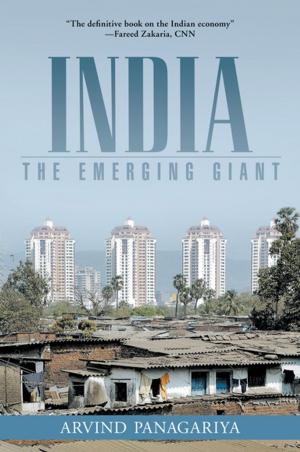 Cover of the book India by Naomi Greyser