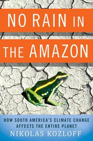 Cover of the book No Rain in the Amazon by Brian Freeman